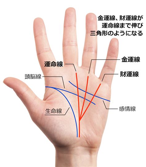 財運線|金運線の特徴を解説！経済的成功のヒント 